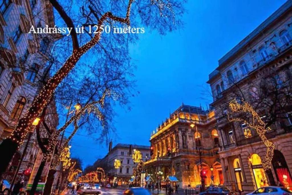Keleti Apartment City Center Big Flat Bedroom Private Use Будапеща Екстериор снимка